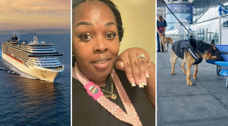 'Carnival doesn't play with y'all': Cruise passengers warn against bringing drugs after new protocol